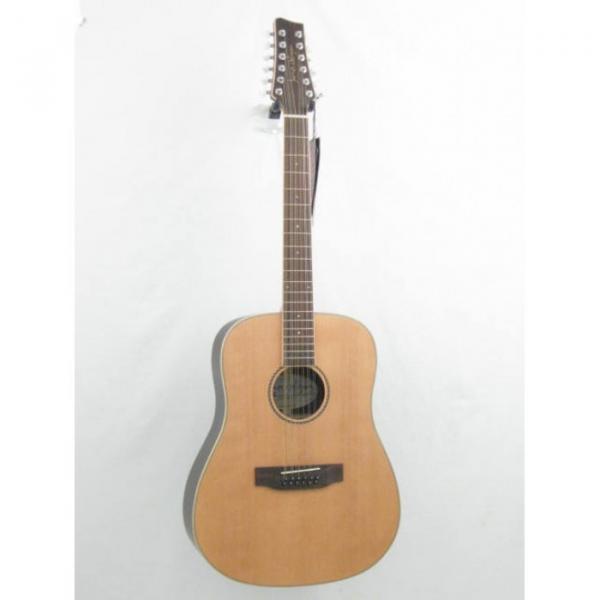 James Neligan Model NA60-12 Solid Top 12 Strings Acoustic Guitar #1 image
