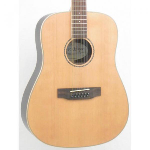 James Neligan Model NA60-12 Solid Top 12 Strings Acoustic Guitar #2 image