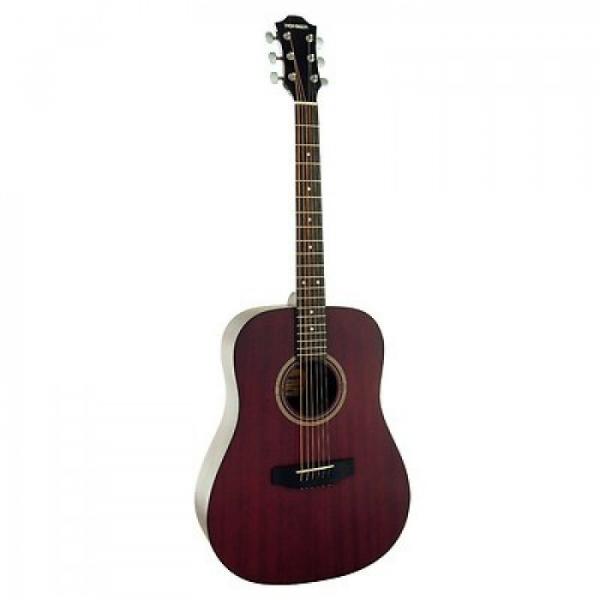 Great Brand New Hohner HW300G TWR Mahogany Dreadnought Acoustic Guitar #1 image