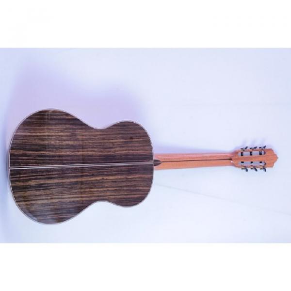 Custom Shop Fan Fretted Acoustic Guitar AG100 #5 image
