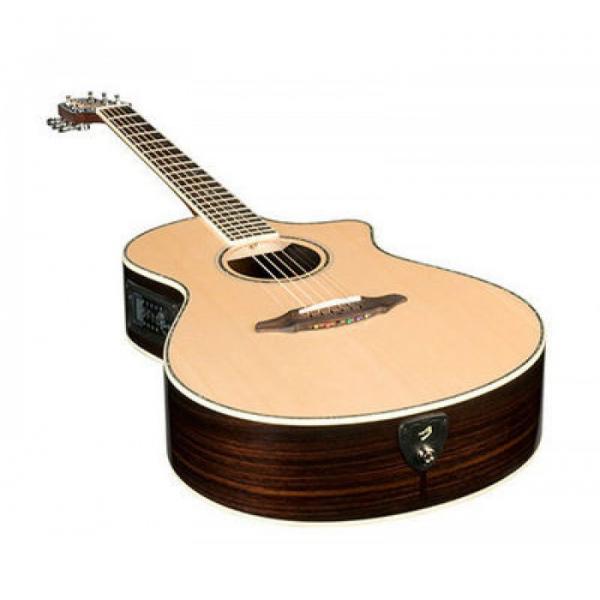 Breedlove Model Stage C25/SRe Acoustic Electric Guitar W/ Hard Case #1 image