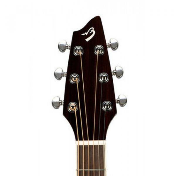 Breedlove Model Stage C25/SRe Acoustic Electric Guitar W/ Hard Case #2 image