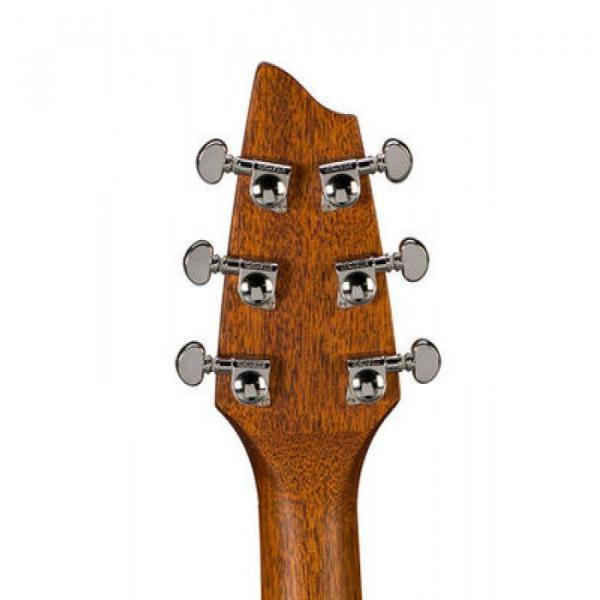 Breedlove Model Stage C25/SRe Acoustic Electric Guitar W/ Hard Case #3 image