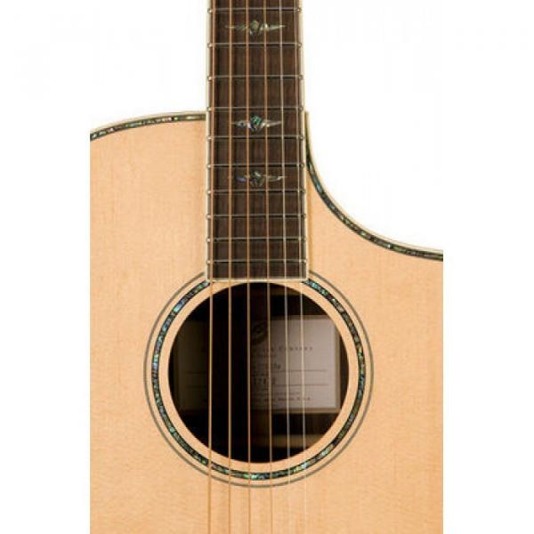 Breedlove Model Stage C25/SRe Acoustic Electric Guitar W/ Hard Case #5 image