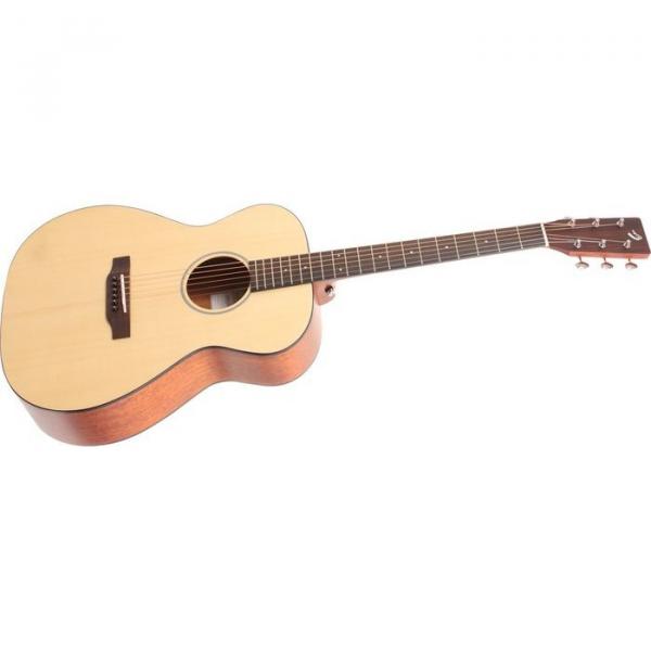 Breedlove Model Passport OM/SM Acoustic Guitar With Gigbag #1 image