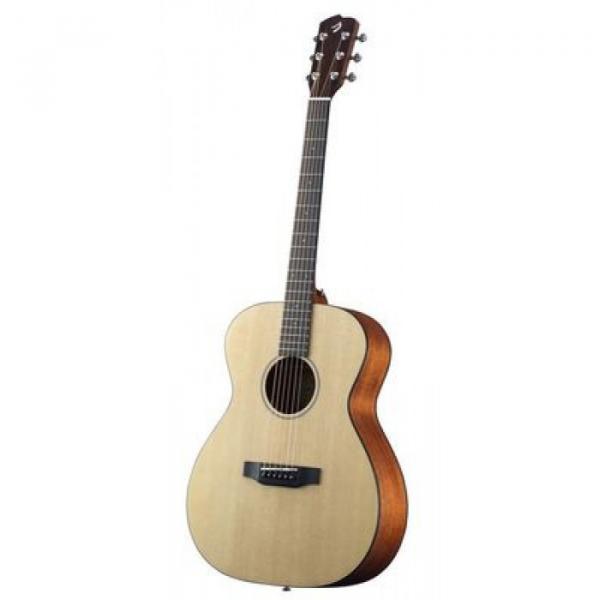 Breedlove Model Passport OM/SM Acoustic Guitar With Gigbag #2 image