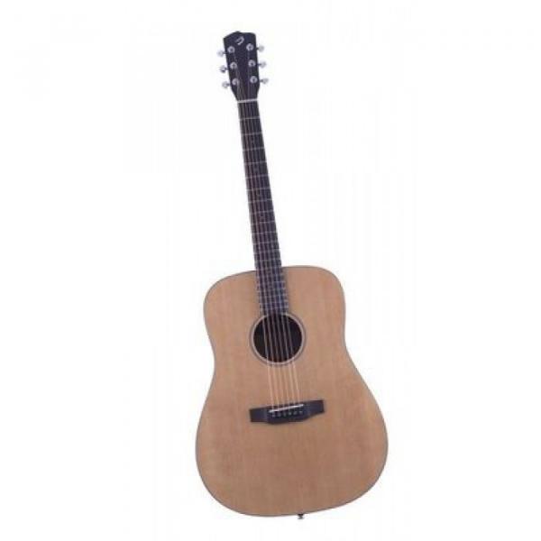 Breedlove Model Passport D/SM Acoustic Guitar With Gigbag #1 image