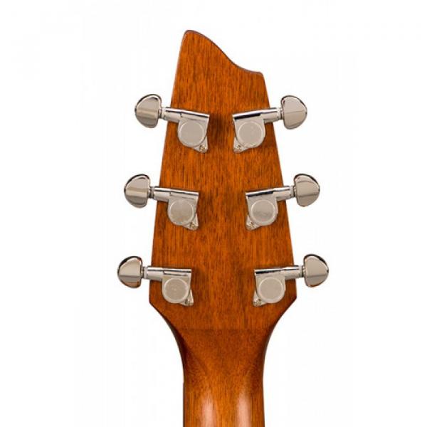 Breedlove Model Passport C250/COE Acoustic Electric Guitar WITH Gigbag #3 image