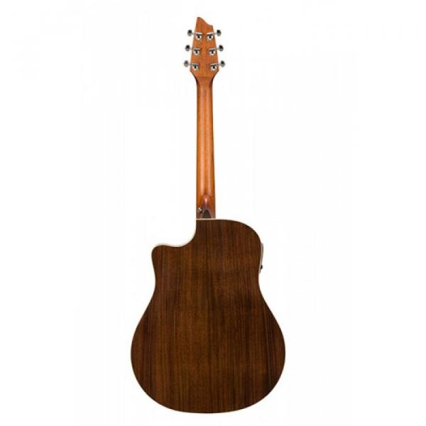 Breedlove Atlas Stage D25/SRE Model Acoustic Guitar W/HS Case #3 image