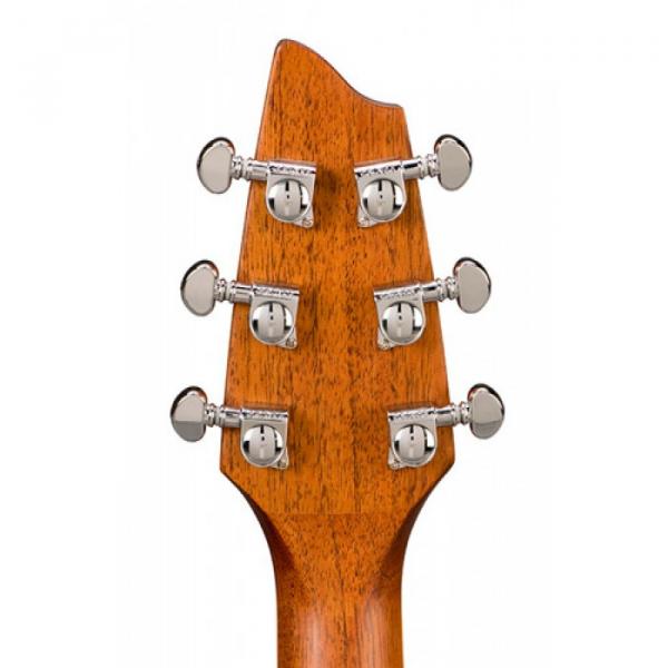 Breedlove Atlas Stage D25/SRE Model Acoustic Guitar W/HS Case #4 image