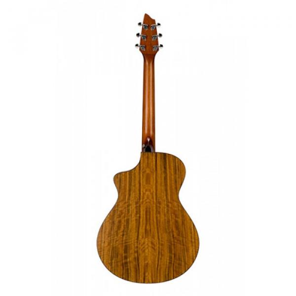 Breedlove Model Passport C250/COE Acoustic Electric Guitar WITH Gigbag #6 image