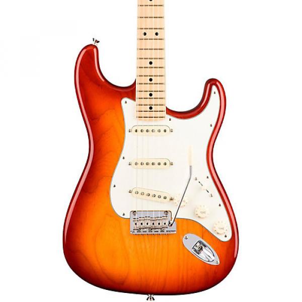 Fender American Professional Stratocaster Maple Fingerboard Sienna Sunburst #1 image