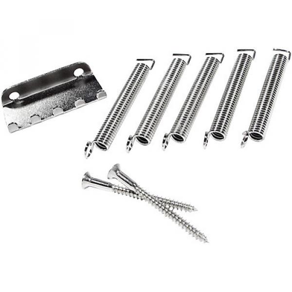 Fender Pure Vintage Stratocaster Tremolo Spring/Claw Kit #1 image