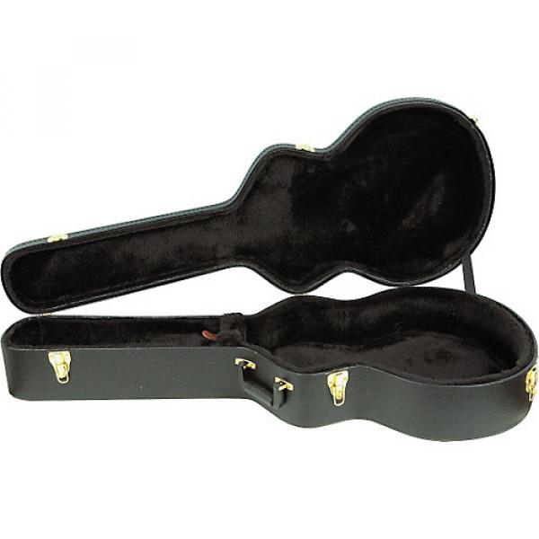 Ibanez AEL50C AEL and EW Series Guitar Case #1 image