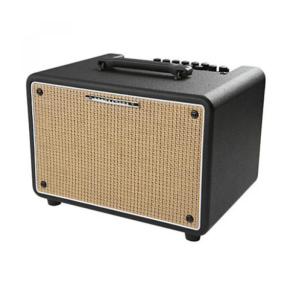 Ibanez Troubadour T150S 150W Stereo Acoustic Combo Amp Black #1 image