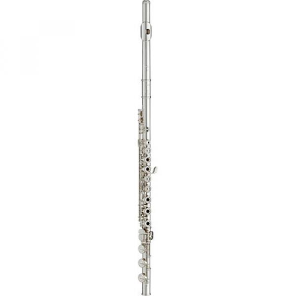 Yamaha YFL-482 Intermediate Flute Inline G B-Foot, Gold Lip-Plate #1 image