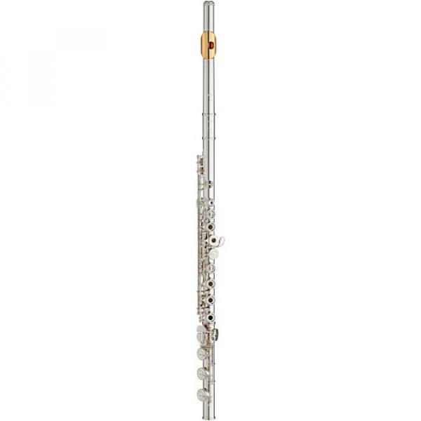 Yamaha YFL-462 Intermediate Flute Offset G B-Foot, Gold Lip-Plate #1 image
