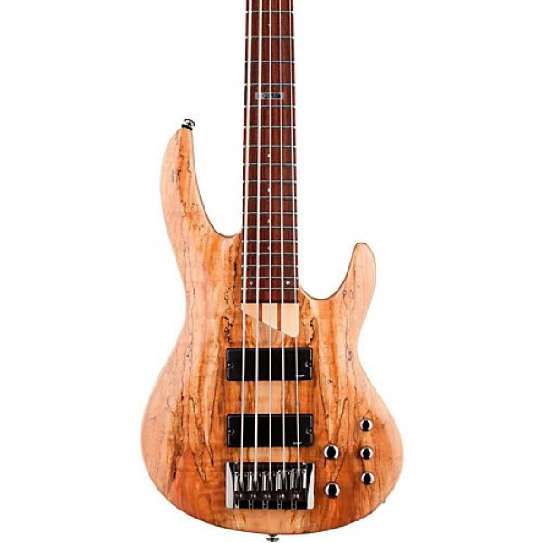 ESP LTD B-205SM 5-string Electric Bass Guitar Satin Natural #1 image