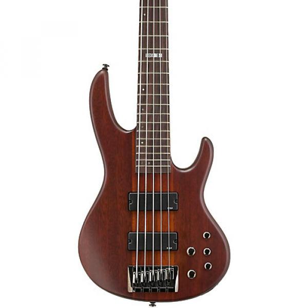 ESP LTD D-5 5-String Bass Guitar Satin Natural #1 image