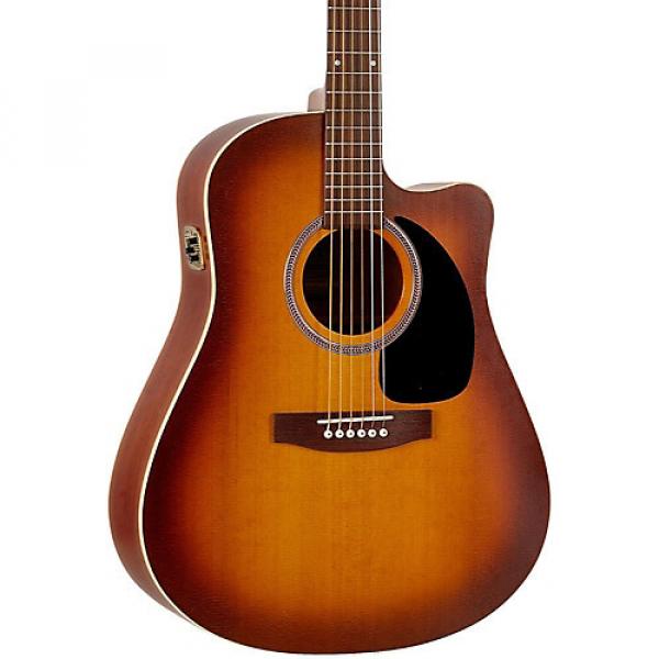 Seagull Entourage Rustic CW QIT Acoustic-Electric Guitar Rustic #1 image