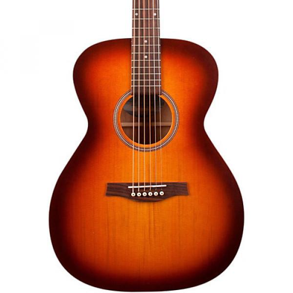 Seagull Entourage Rustic Concert Hall QIT Acoustic-Electric Guitar #1 image
