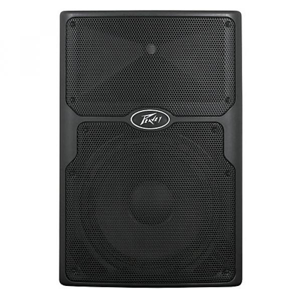Peavey PVX 15 2-Way Passive PA Speaker Cabinet Black Black #1 image