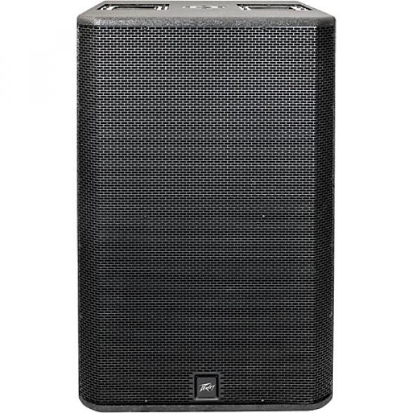 Peavey RBN 215 Powered Subwoofer #1 image