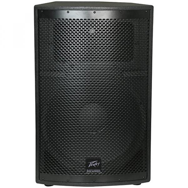 Peavey SP 2 2-Way 15" Speaker #1 image