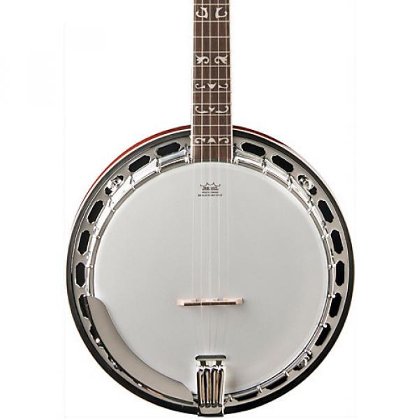 Washburn B16 Banjo #1 image