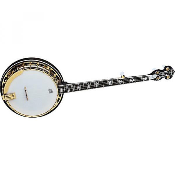 Washburn B17 Sunburst 5-String Banjo w/case Sunburst #1 image