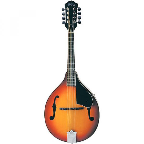 Washburn M1S Acoustic Mandolin Sunburst #1 image