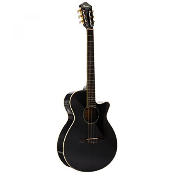 Ibanez AEG10NII Nylon String Cutaway Acoustic-Electric Guitar Black #1 image
