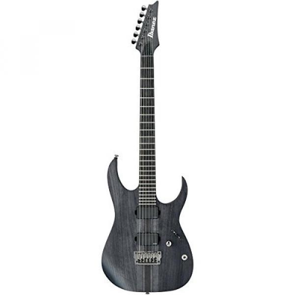 Ibanez Iron label RG Series RGIT20FE Electric Guitar Transparent Gray Flat #3 image
