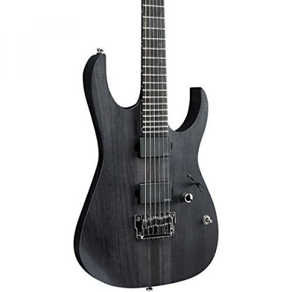 Ibanez Iron label RG Series RGIT20FE Electric Guitar Transparent Gray Flat #5 image