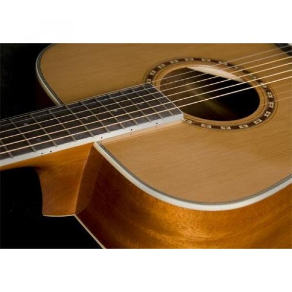 Washburn WD-11S Acoustic Guitar #4 image
