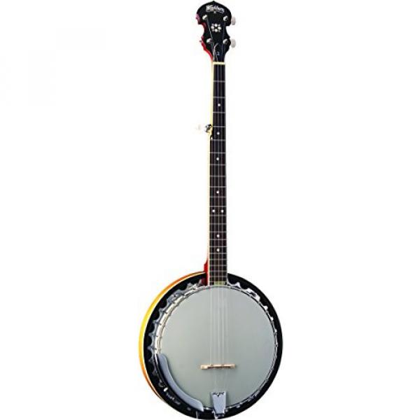 Washburn Banjo, 5 String #1 image