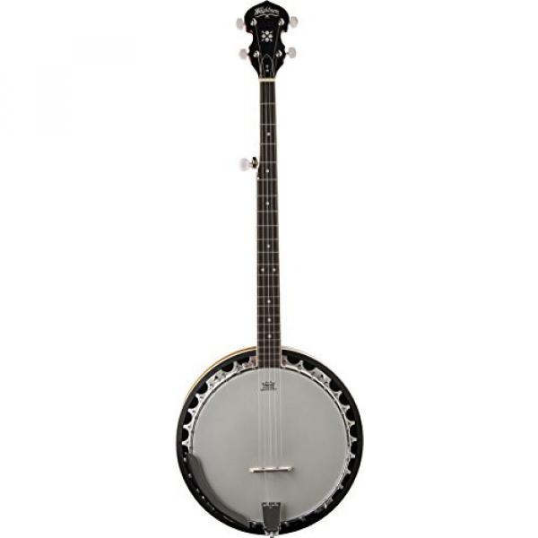 Washburn Banjo, 5 String #2 image