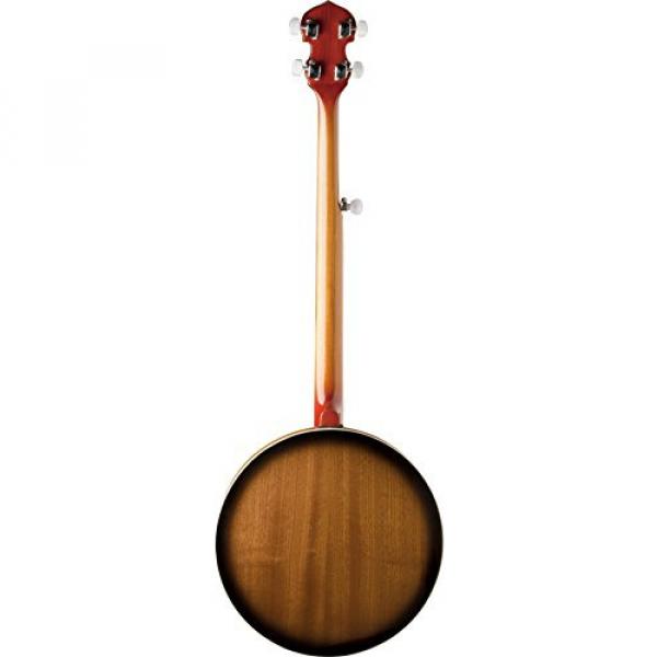 Washburn Banjo, 5 String #3 image