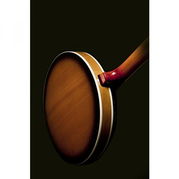 Washburn Banjo, 5 String #4 image