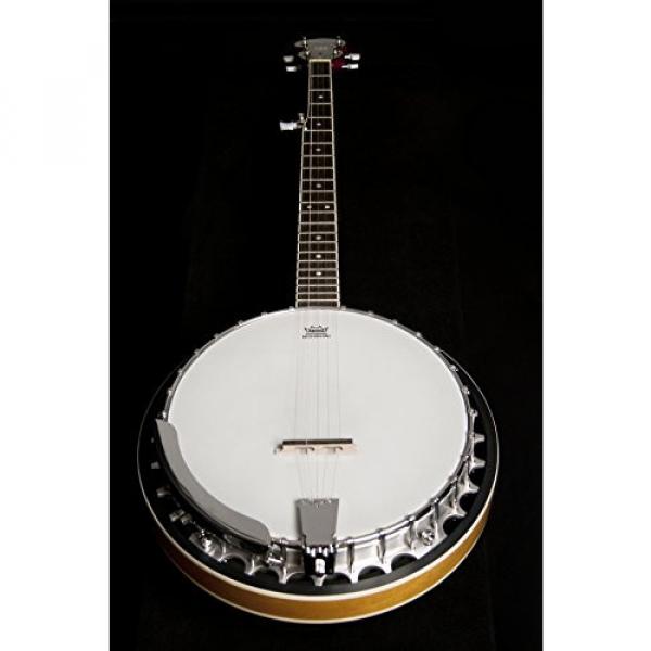 Washburn Banjo, 5 String #6 image