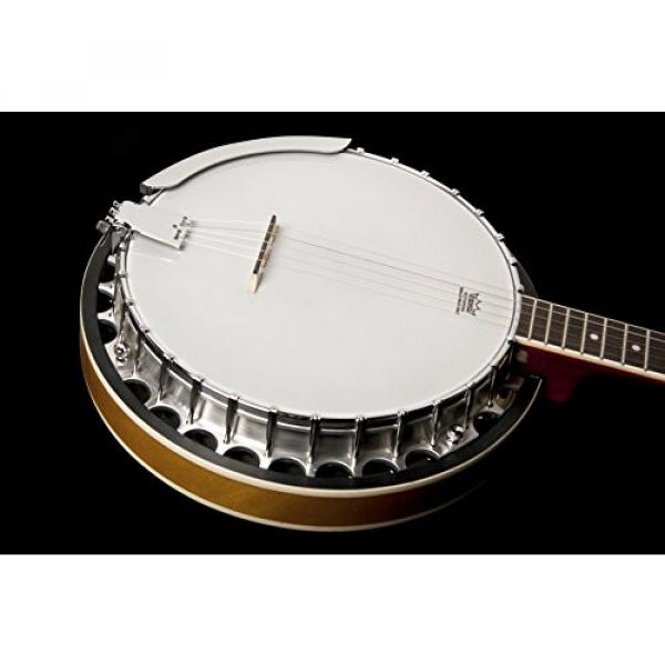 Washburn Banjo, 5 String #7 image