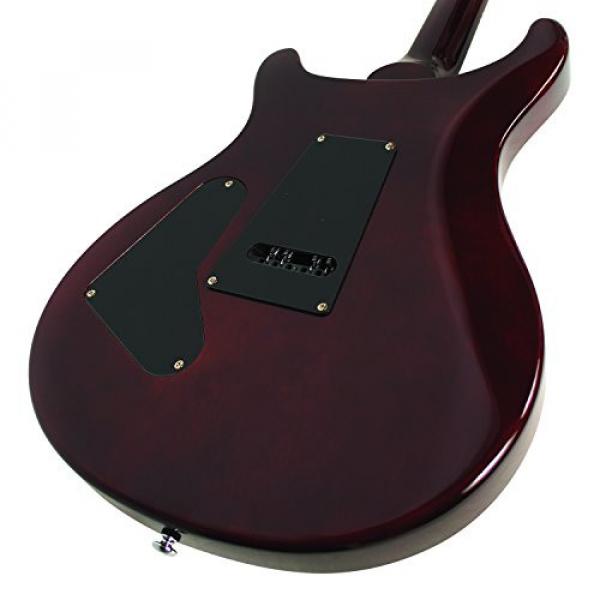Paul Reed Smith Guitars CM4TS-KIT-1 Custom SE 24 Electric Guitar, Tobacco Sunburst #6 image