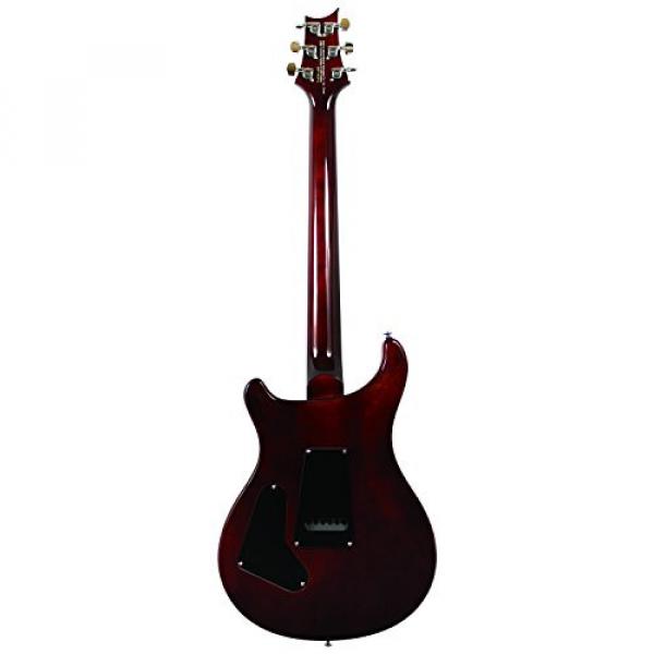 Paul Reed Smith Guitars CM4TS-KIT-1 Custom SE 24 Electric Guitar, Tobacco Sunburst #7 image
